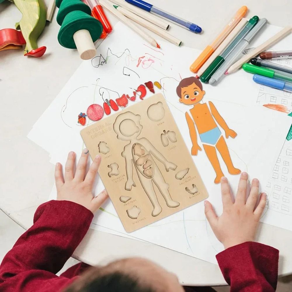 Human Body Puzzle - กระดานการเรียนรู้แบบใหม่ มอนเตสซอรี่ ปริศนาไม้เสริมพัฒนาการ รูปแบบโต้ตอบ ชุดสอนร่างกายมนุษย์ สำหรับเด็กก่อนวัยเรียน