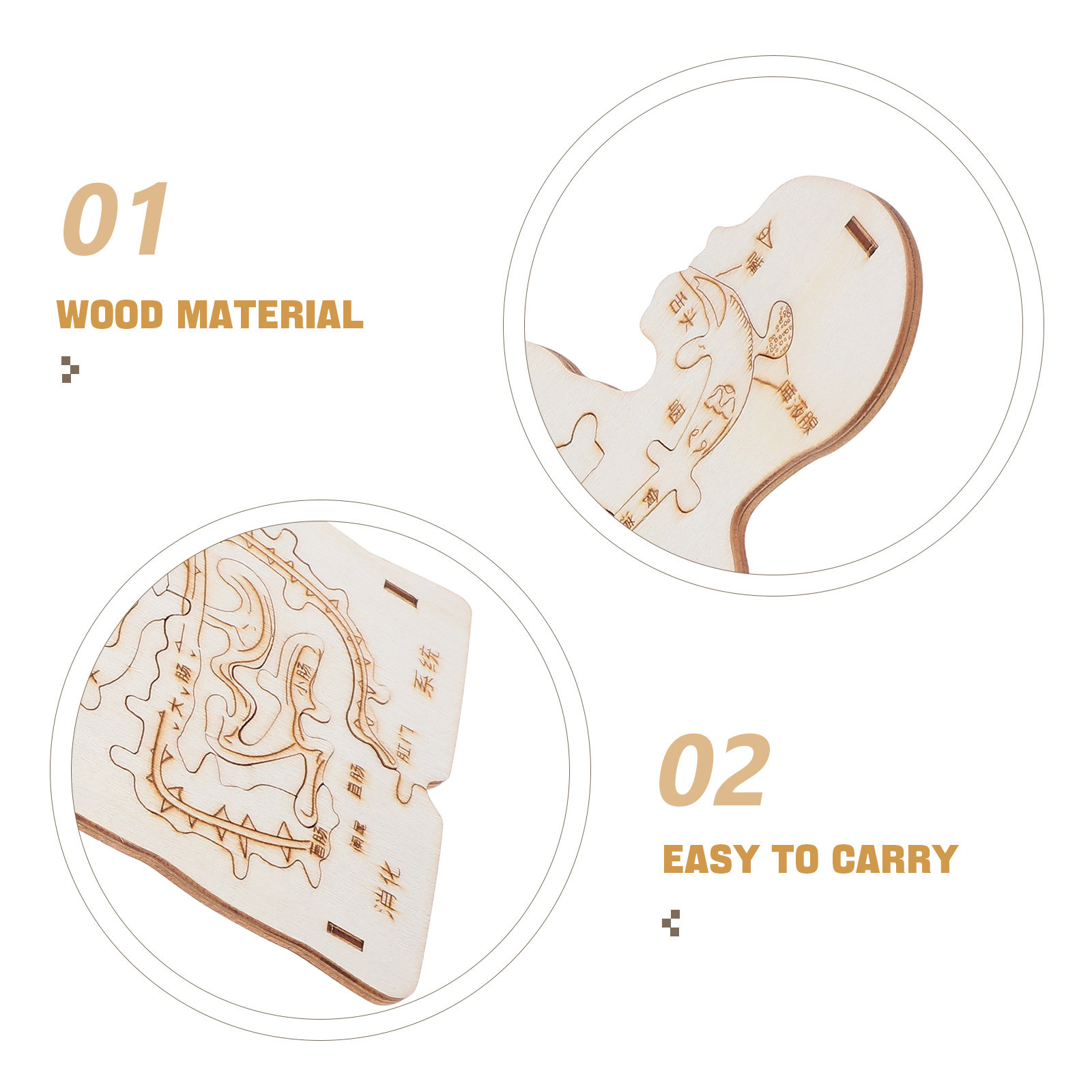 ชุดตัวต่อร่างกายมนุษย์ไม้ 3 ชิ - Human Body Puzzle บทวิจารณ์และราคา