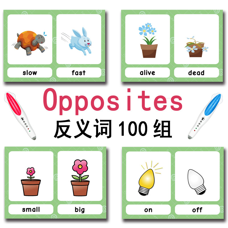 แฟลชการ์ดคำศัพท์ภาษาอังกฤษ 100 - Kids Educational Game บทวิจารณ์และราคา