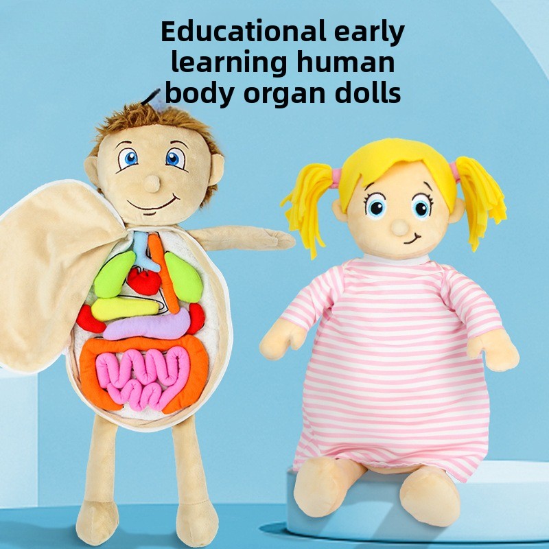 ตัวต่อจิ๊กซอว์รูปอวัยวะมนุษย์  - Human Body Puzzle บทวิจารณ์และราคา