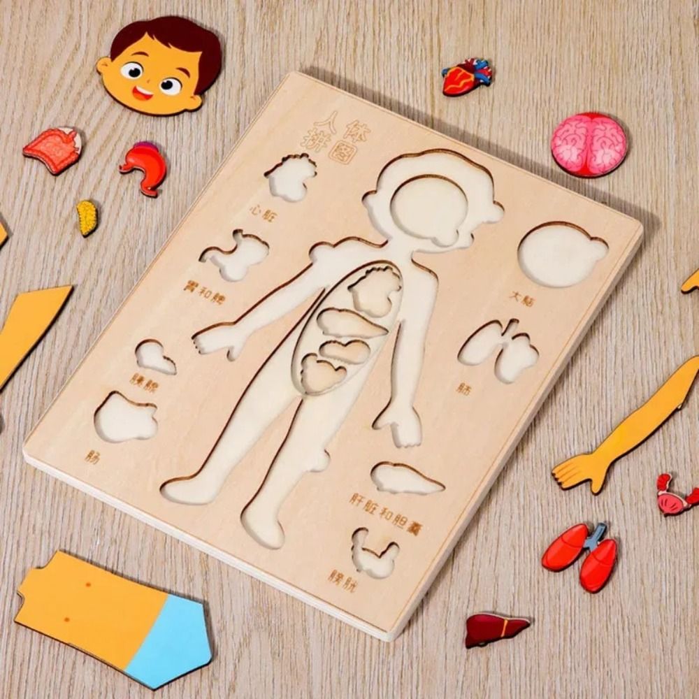 กระดานการเรียนรู้แบบใหม่ มอนเต - Human Body Puzzle บทวิจารณ์และราคา