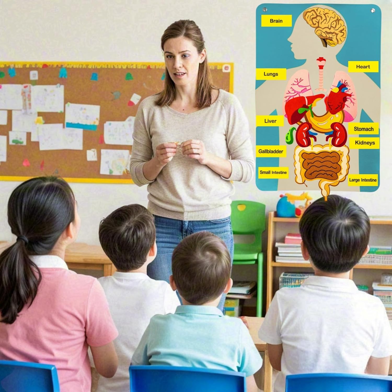 กระดานสักหลาดชิ้นส่วนร่างกายมน - Human Body Puzzle บทวิจารณ์และราคา