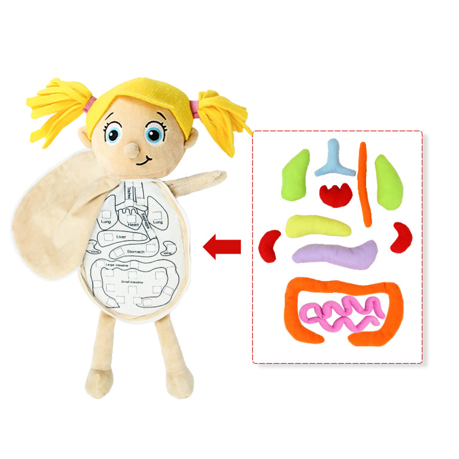 เด็ก Montessori ของเล่น 3D ปริ - Human Body Puzzle บทวิจารณ์และราคา