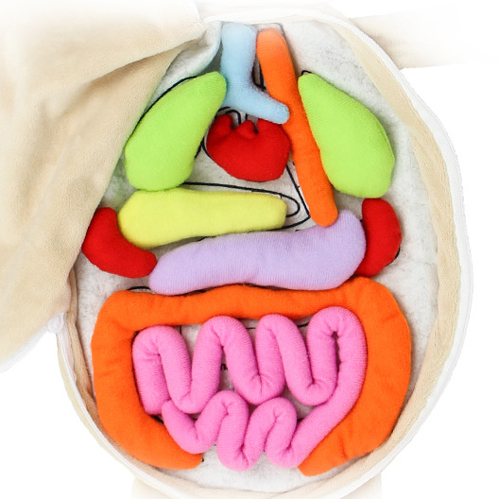 เด็ก Montessori ของเล่น 3D ปริ - Human Body Puzzle บทวิจารณ์และราคา